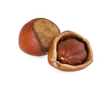 Fındıklar beyaz arkaplanda izole 