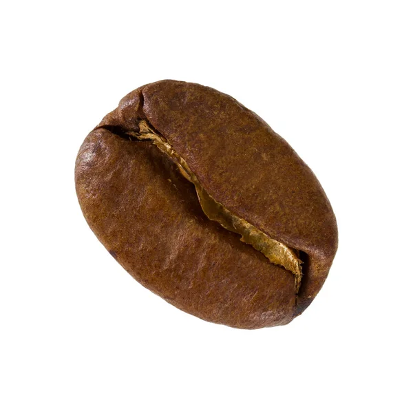 コーヒーの 1 つの穀物 — ストック写真