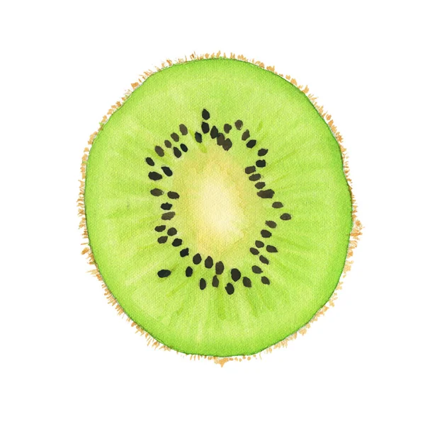 Acuarela kiwi maduro — Foto de Stock