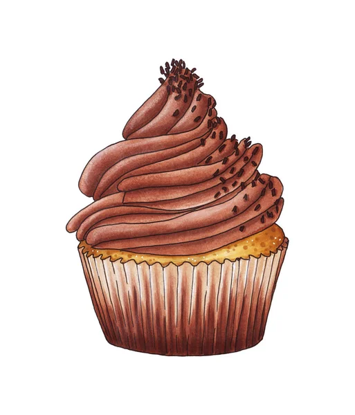 Chocolade cupcake geïsoleerd op witte achtergrond. — Stockfoto