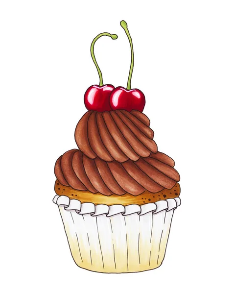 Chocolade cupcake met kersen geïsoleerd op witte achtergrond. — Stockfoto