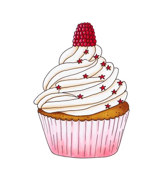 Cupcake met verse frambozen — Stockfoto