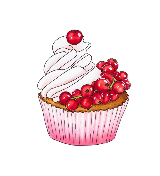 Cupcake med färska röda vinbär — Stockfoto