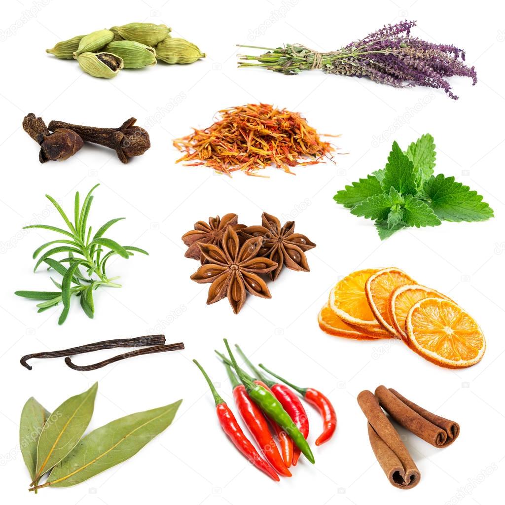 Set of different spices and herbs  