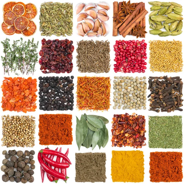 Set of different spices and seasonings — Stock Photo, Image