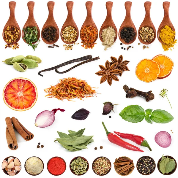 Set of various spices isolated on white — Stock Photo, Image