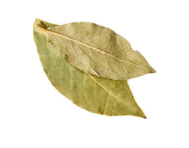 Beyaz arka plan üzerinde izole iki defne yaprağı.  