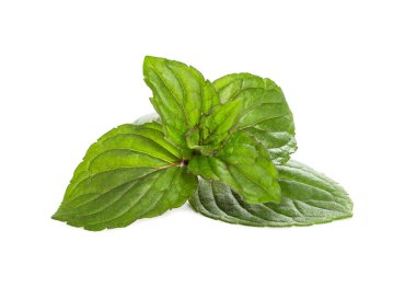 Taze nane yaprakları üzerinde beyaz izole  