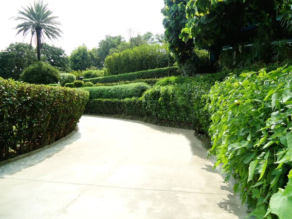 Belo jardim — Fotografia de Stock