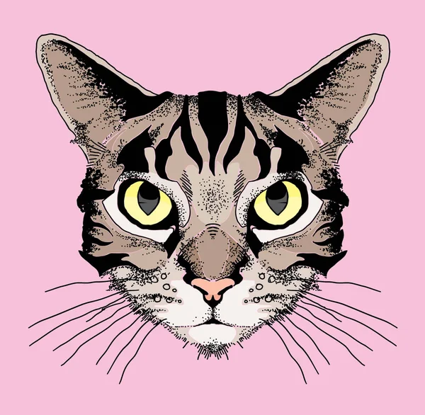 kedi baş vektör çizim - hisse senedi illüstrasyon