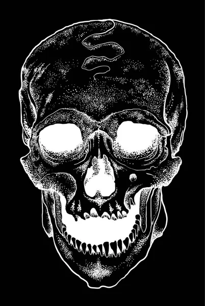Anatomische Skull Vector Stock Illustratie — Stockvector