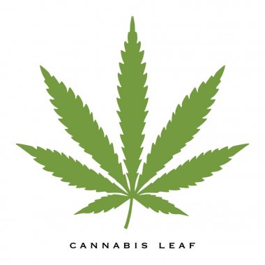 Esrar yaprak vektör dosyası