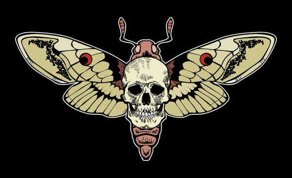 skull moth vector file