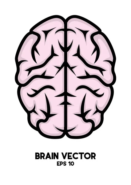 Brain Vektorové Upravitelný Soubor — Stockový vektor