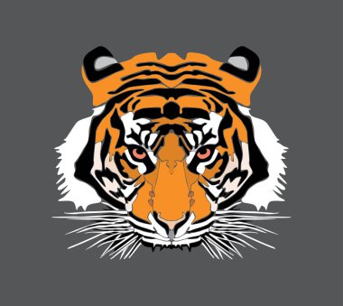 leopar kafa vektör dosyası
