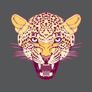 leopar kafa vektör dosyası