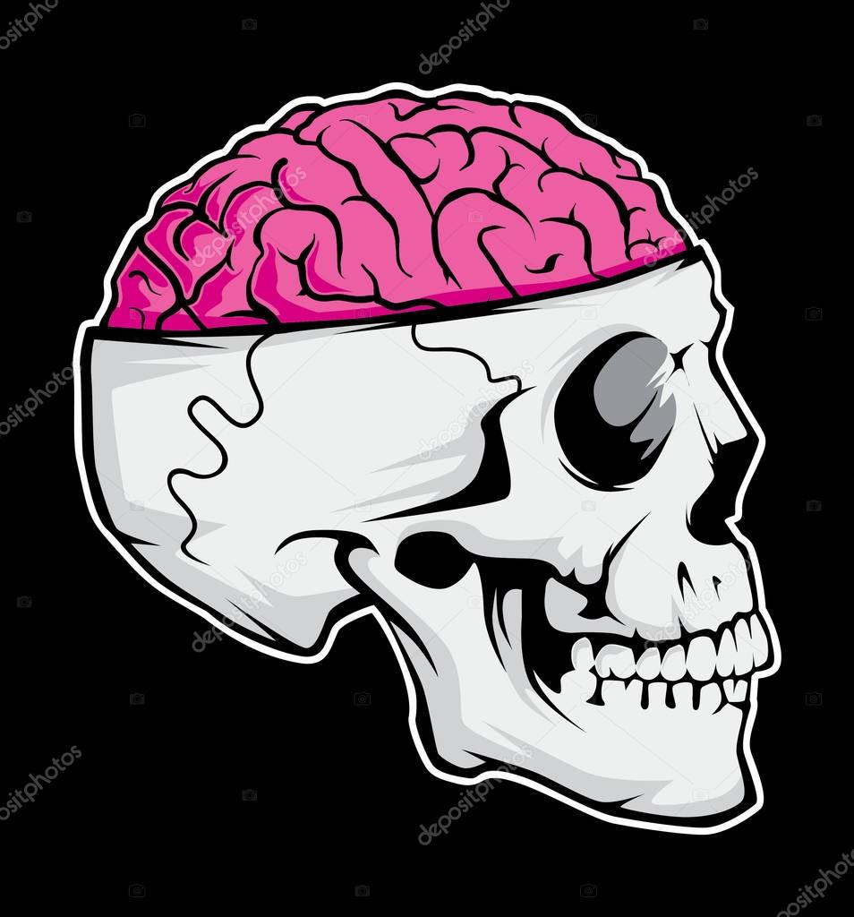 skull brain vector file