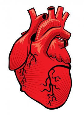 kalp vektör çizim düzenlenebilir vektör dosyası