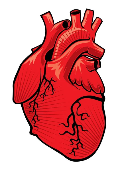 Serce Wektor Rysunek Plik Edytowalny Wektor — Wektor stockowy