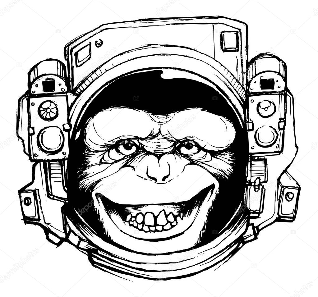 space monkey vector illustration