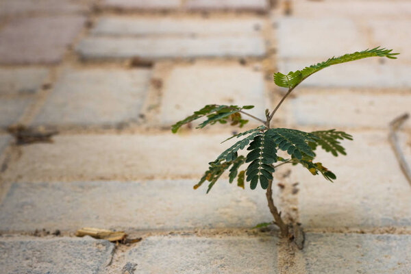 Make the impossible possible