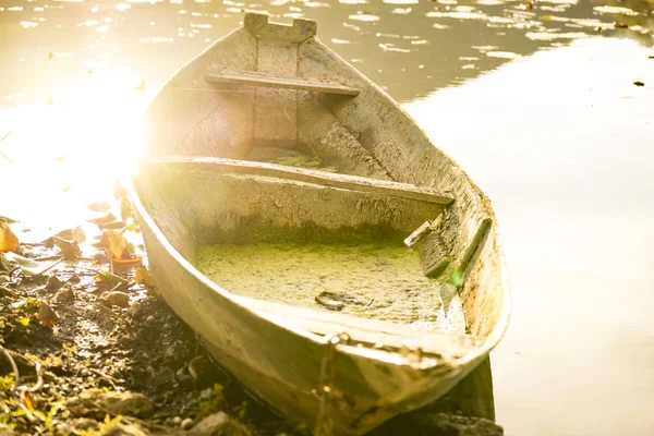 Gammal Träbåt Med Grönt Vatten Inuti Med Reflektion Solen Sidan — Stockfoto