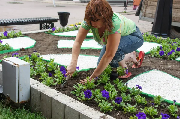 Trabajadores plantan y riegan nuevas flores en el suelo . — Foto de Stock
