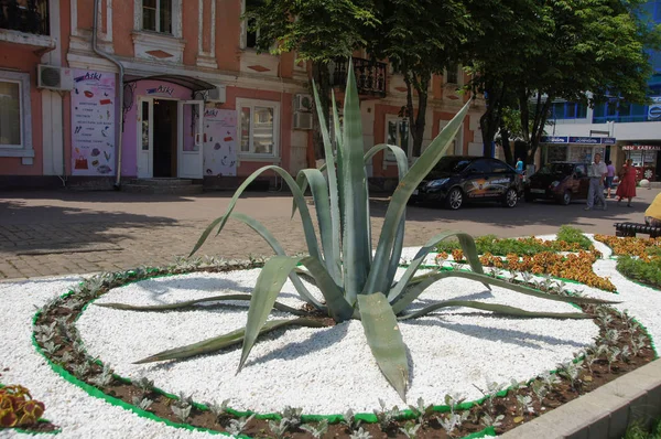 Widok na miasto, ludzie chodzą, architektura ulicy, — Zdjęcie stockowe