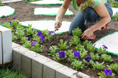 İşçiler yeni çiçekler eker ve sularlar..