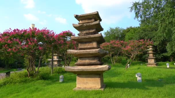 Statische Video dekorative Stein mehrstöckige Pagode in seoul Park. hellgrünes Gras und Bäume, blühende Äste, blauer Himmel. — Stockvideo