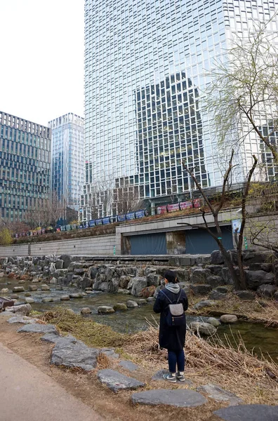 清渓川、ソウルの中心部にある小さな川。高層オフィスビル。女の子が川を歩いている. — ストック写真
