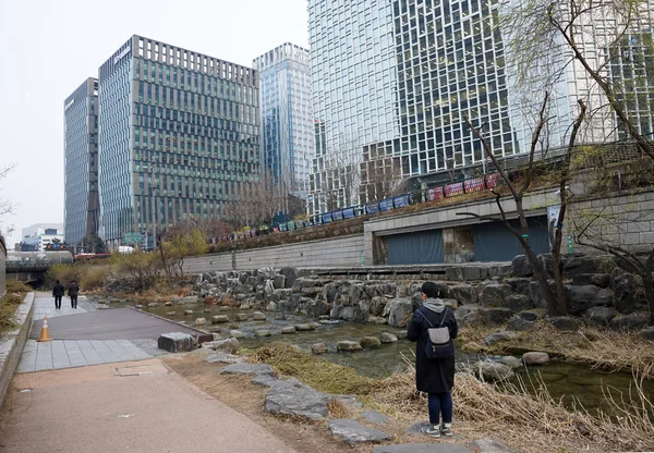 清渓川、ソウルの中心部にある小さな川。高層オフィスビル。女の子が川を歩いている. — ストック写真