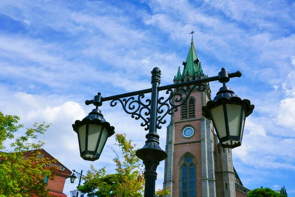 Seoul Republiken Korea Juli 2019 Myeongdongs Katolska Katedral Romersk Katolska — Stockfoto