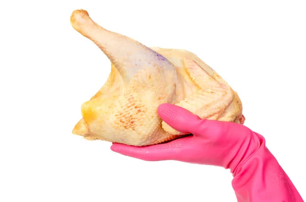 Pollo Crudo Sin Plumas Carcasa Sobre Fondo Blanco — Foto de Stock