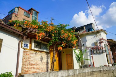 Seul, Kore Cumhuriyeti - Temmuz 2019: Bukchon Hanok Köyü, tırmanma bitkisi ve çiçekli eski bir bina.