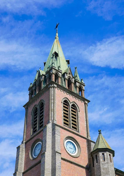 Seoul Republic Korea July 2019 Myeongdong Catholic Cathedral Roman Catholic — стокове фото