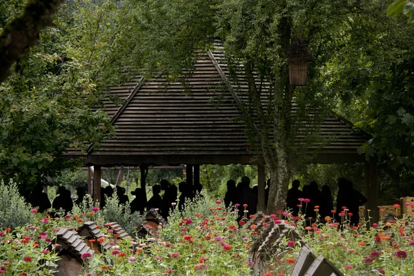 Konuklar arı Krallık