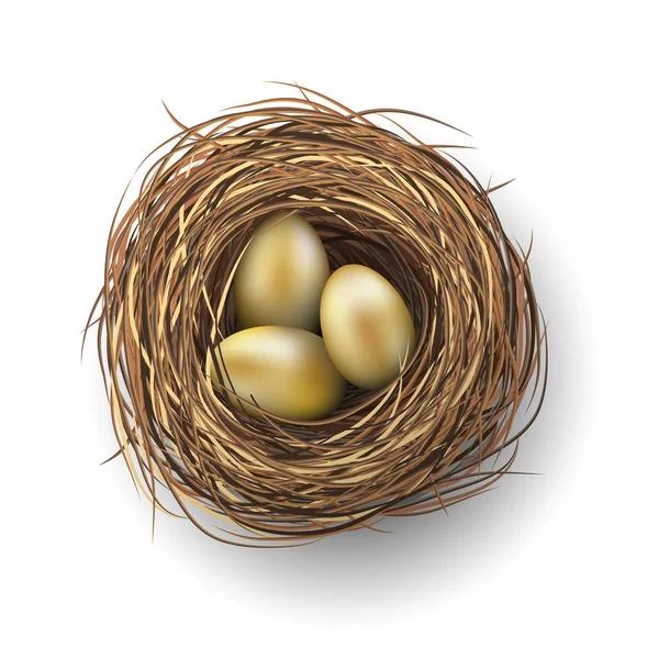 Nest met de gouden eieren op witte achtergrond, illustratie — Stockvector