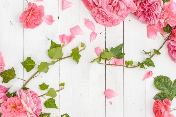 Romantic pink roses and branches of ivy on white wooden background — Stock Photo, Image