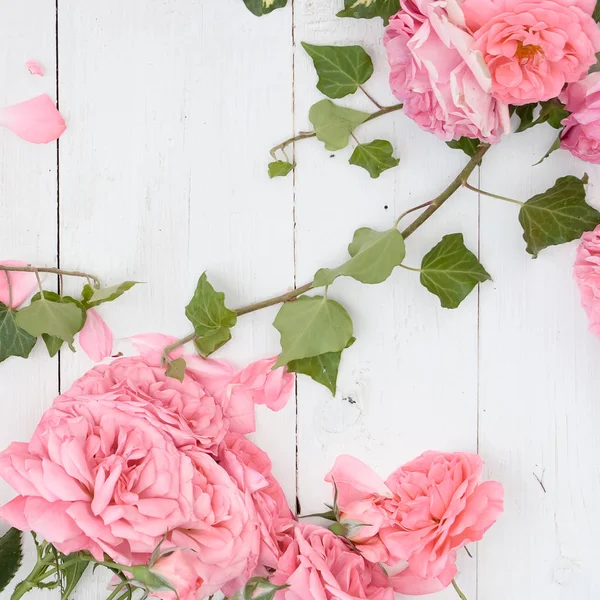 Romantic pink roses and branches of ivy on white wooden background — Stock Photo, Image