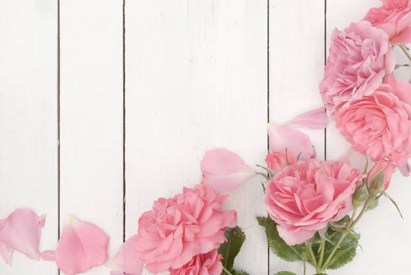 Romântico rosa rosas no fundo de madeira branco — Fotografia de Stock