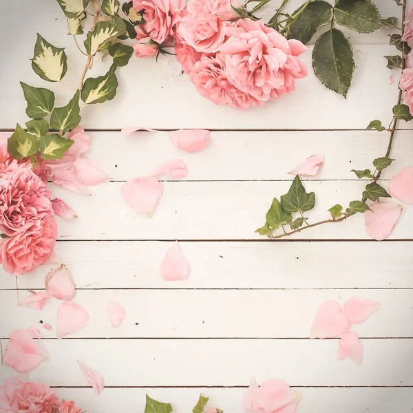 浪漫粉红玫瑰的白色木制背景 — 图库照片