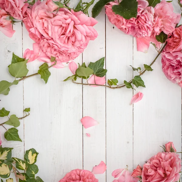 浪漫粉色玫瑰和白色木制背景上的常春藤枝 — 图库照片