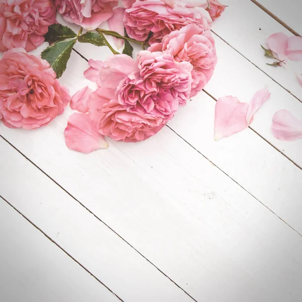 Romantic pink roses on white wooden background — Stock Photo, Image