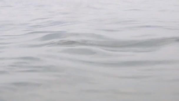 Чистое море, вид с низким углом . — стоковое видео