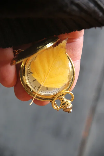 Relógio de bolso de ouro e folha de outono. Outubro, Novembro ideia . — Fotografia de Stock