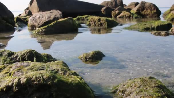 Costa rocosa, costa del océano, agua limpia — Vídeo de stock