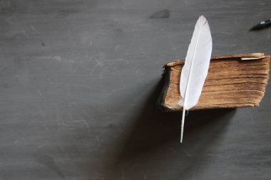 Üniversite dersleri fikir