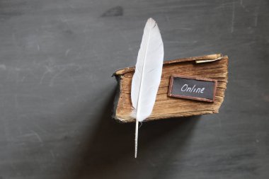 Online Kurslar fikir