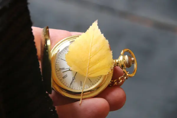 Sonbahar fikir, cep saati ve düşen bir yaprak — Stok fotoğraf